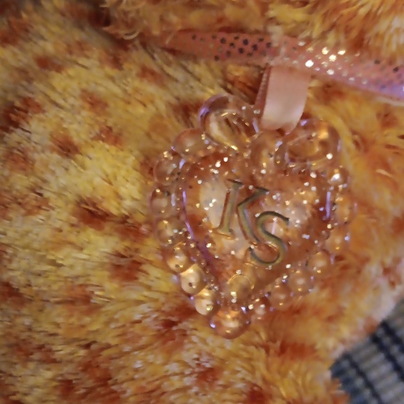 Kitten Surprise Cheetah Tabby - Picture 5 of 5